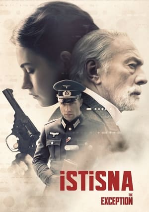 Poster İstisna 2017