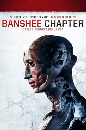 Poster Banshee Chapter - I files segreti della Cia 2013