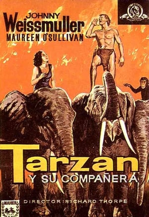 Poster Tarzán y su compañera 1934