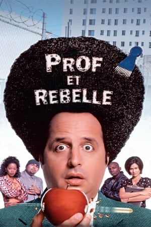 Poster Prof et rebelle 1996