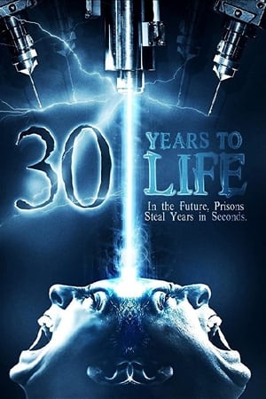 Poster 30 Years to Life 1998