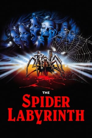 Image Spider Labyrinth - In den Fängen der Todestarantel