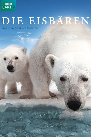 Poster Die Eisbären - Aug In Aug Mit Den Eisbären 2011