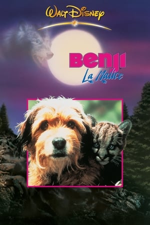Poster Benji la malice 1987