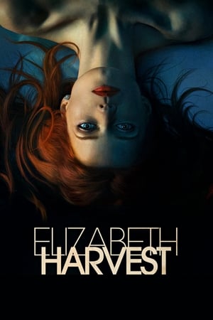 Poster Az Elizabeth készlet 2018