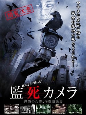 Poster Hontou ni Utsutta Kanshi Camera 2012