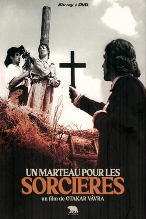 Poster Le marteau des sorcières 1970