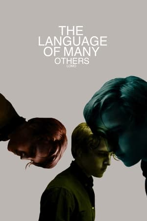 Image LOMO: The Language of Many Others