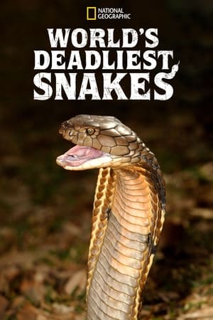 Poster World's Deadliest Snakes 2020