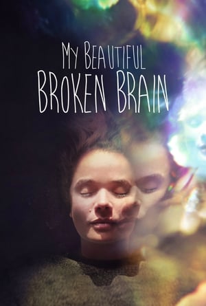 Poster My Beautiful Broken Brain 2014