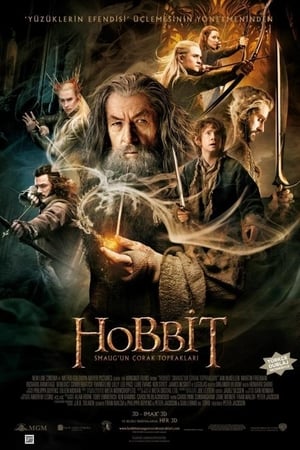 Poster Hobbit: Smaug'un Çorak Toprakları 2013