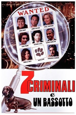 Poster 7 criminali e un bassotto 1992