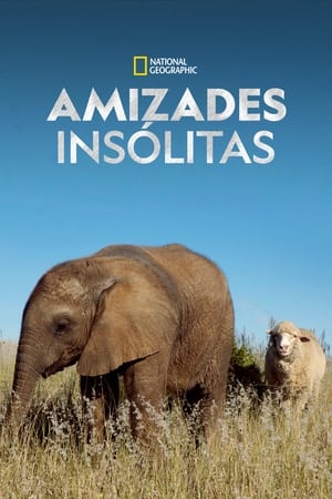Poster Amizades Improváveis Entre Animais Temporada 2 2013