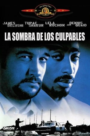 Poster La sombra de los culpables 1997
