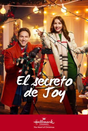 Poster El secreto de Joy 2017