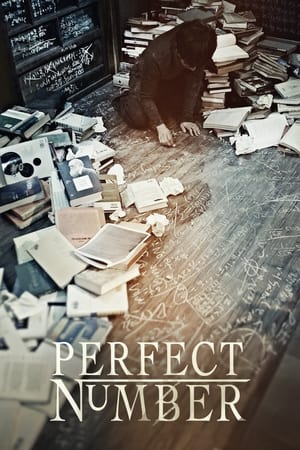 Poster Perfect Number 2012
