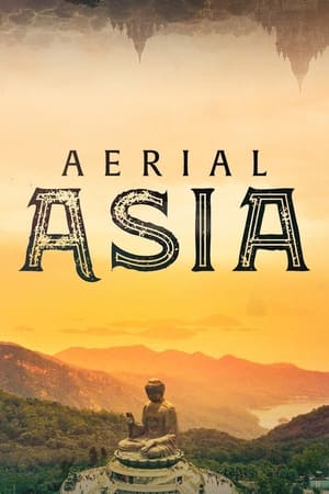 Poster Aerial Asia 2017