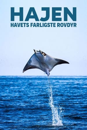 Poster Hajen - havets farligste rovdyr 2015
