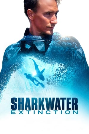 Poster 鲨鱼海洋：灭绝 2018