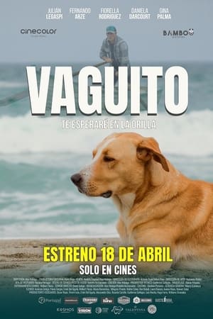 Poster Vaguito 2024