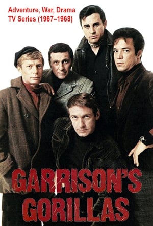 Poster Garrison's Gorillas 1967
