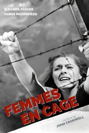 Poster Femmes en cage 1950