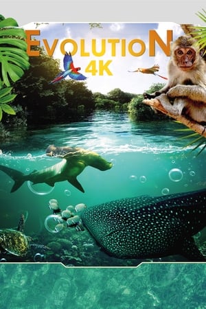 Poster Ewolucja w 4K 2018