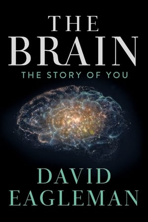 Poster El cerebro con David Eagleman 2015