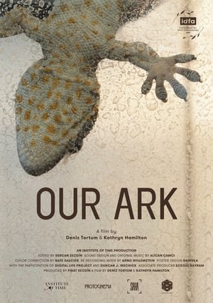 Poster Our Ark 2021