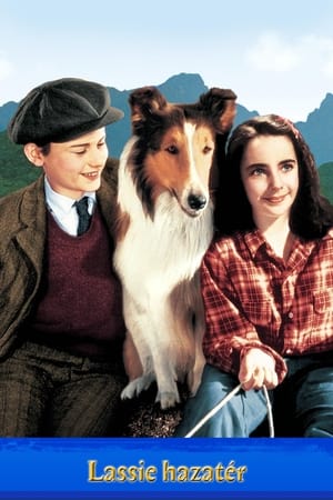 Poster Lassie hazatér 1943