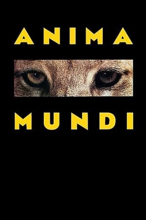 Poster Anima Mundi 1993