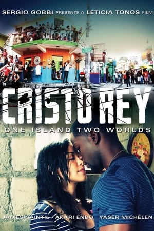 Poster Cristo Rey 2014