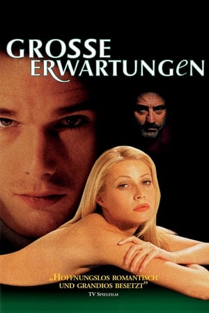 Poster Große Erwartungen 1998