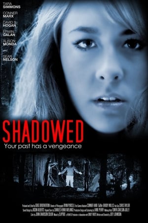 Poster Shadowed 2013