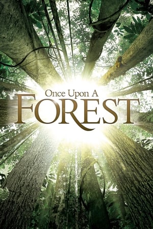 Poster Once Upon a Forest 2013