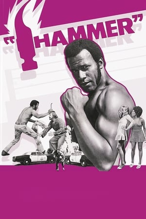 Poster Hammer 1972