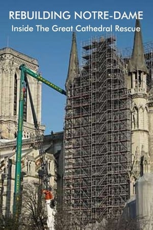 Poster Rebuilding Notre-Dame: Inside the Great Cathedral Rescue 2020