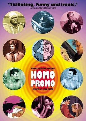 Poster Homo Promo 1993