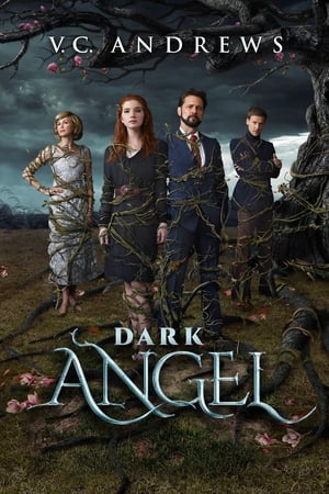 Poster Тёмный Ангел 2019