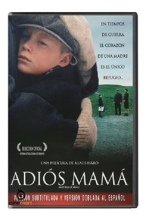 Poster Adiós mamá (Mother of Mine) 2005