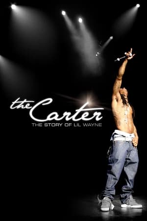 Image Lil Wayne: The Carter