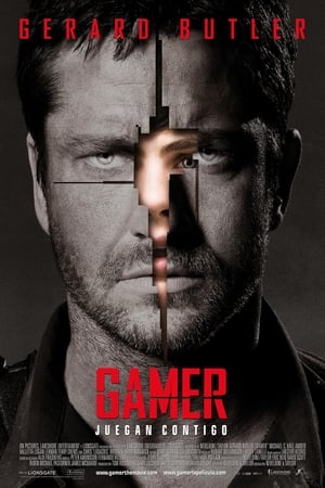 Poster Gamer 2009