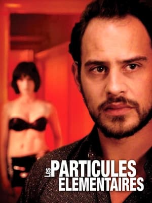 Poster Les Particules élémentaires 2006