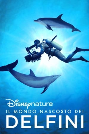 Poster Il mondo nascosto dei delfini 2020