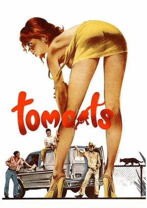 Poster Tomcats 1977