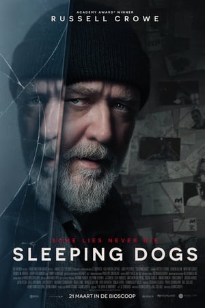 Poster Sleeping Dogs 2024