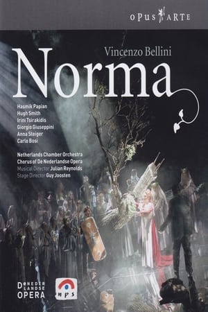 Poster Vincenzo Bellini - Norma (De Nederlandse Opera) 2005