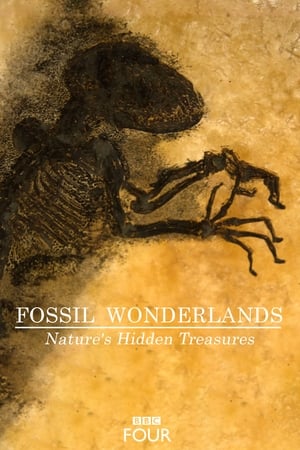 Image Fossil Wonderlands: Nature's Hidden Treasures
