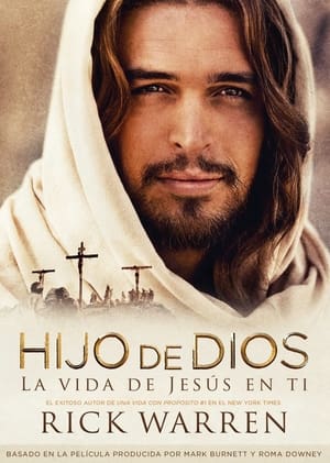 Poster Hijo de Dios 2014