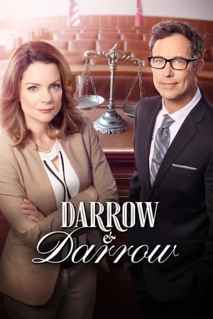 Poster Darrow & Darrow 2017